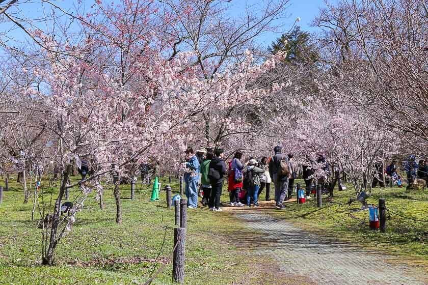 🏞️ 기타야마 시립 공원 (기타야마 시리츠 코엔) 이미지 8